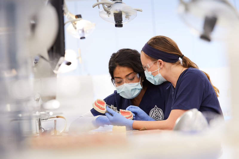 Students in the Marquette University School of Dentistry