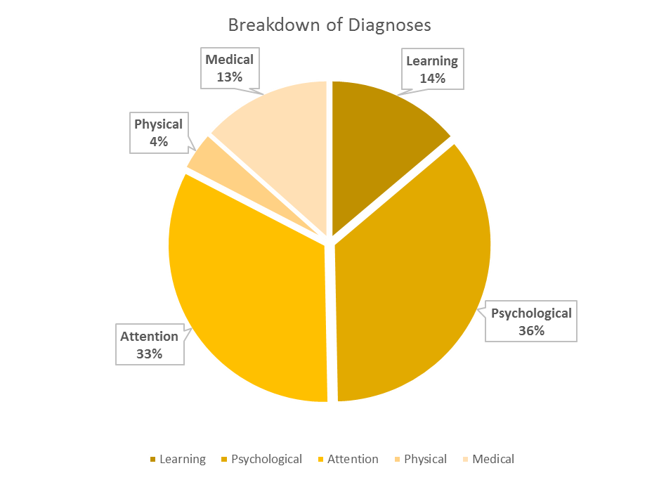Breakdown of Diagnoses is 36% psychological, 33% attention, 14% learning, 13% medical and 4% physical